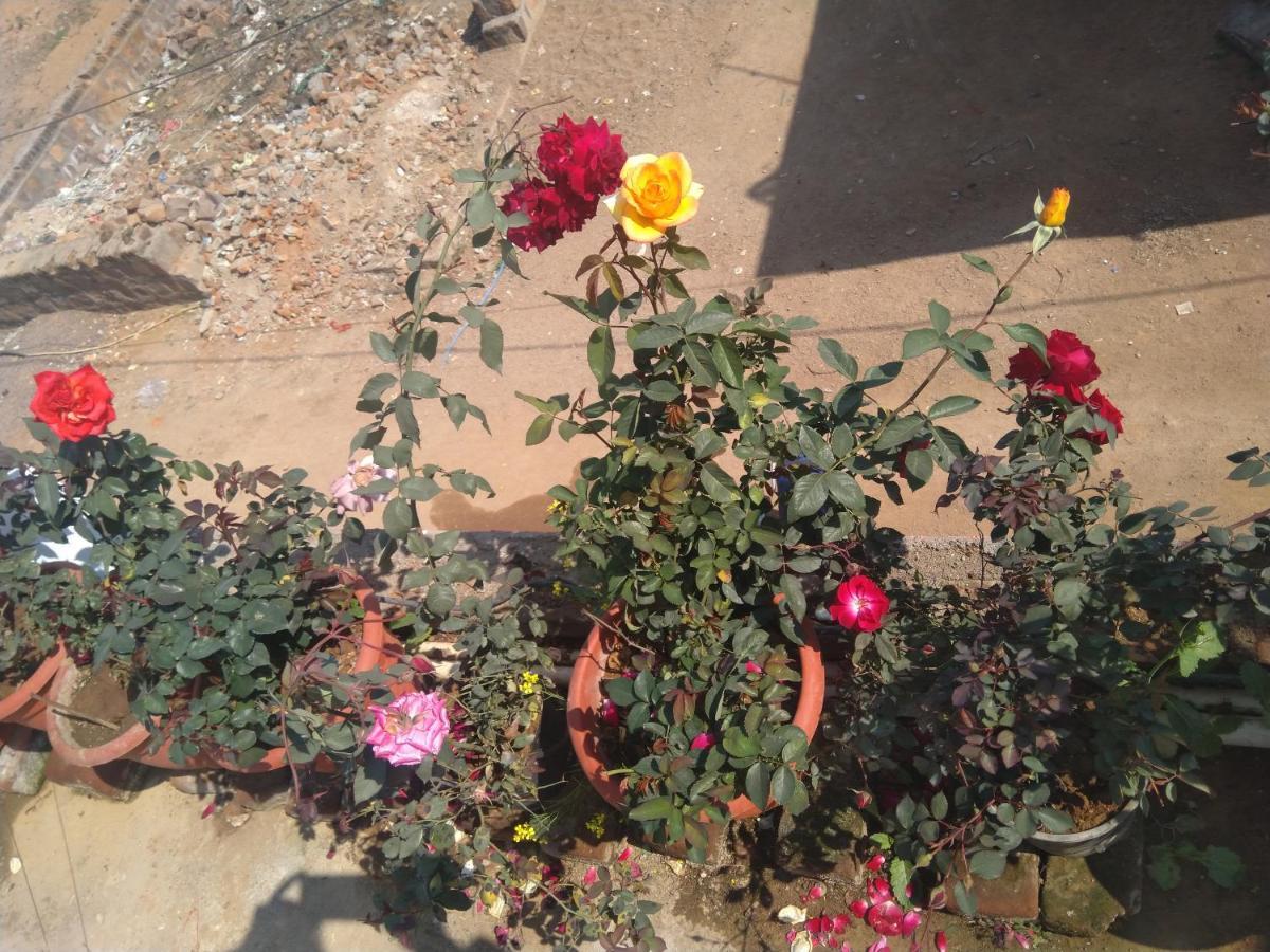 Khajuraho Homestay المظهر الخارجي الصورة